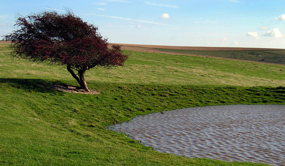 Sunday October 19th (2008) dew pond align=