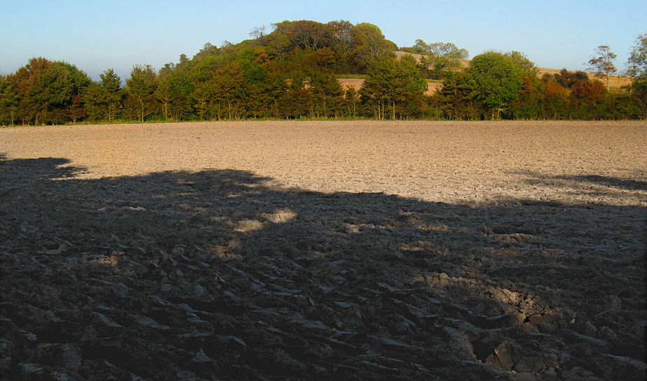 Monday October 13th (2008) ploughed field align=