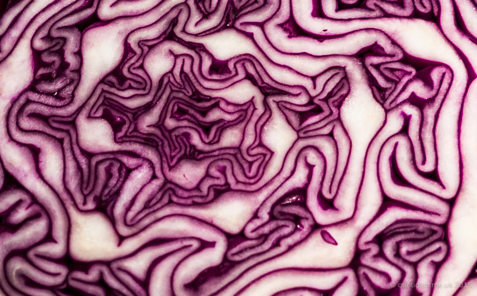 Wednesday October 7th (2015) red cabbage align=