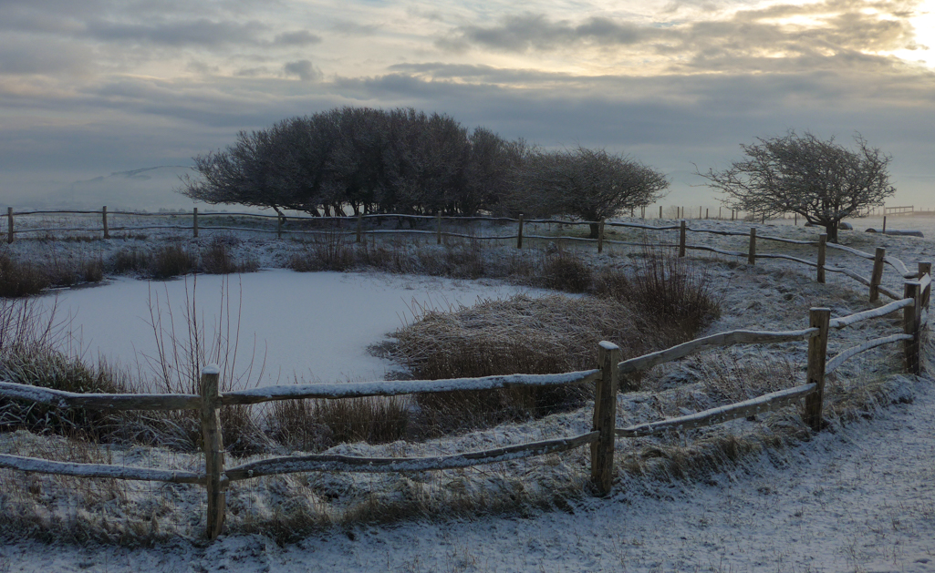 Wednesday January 21st (2015) winter chill align=