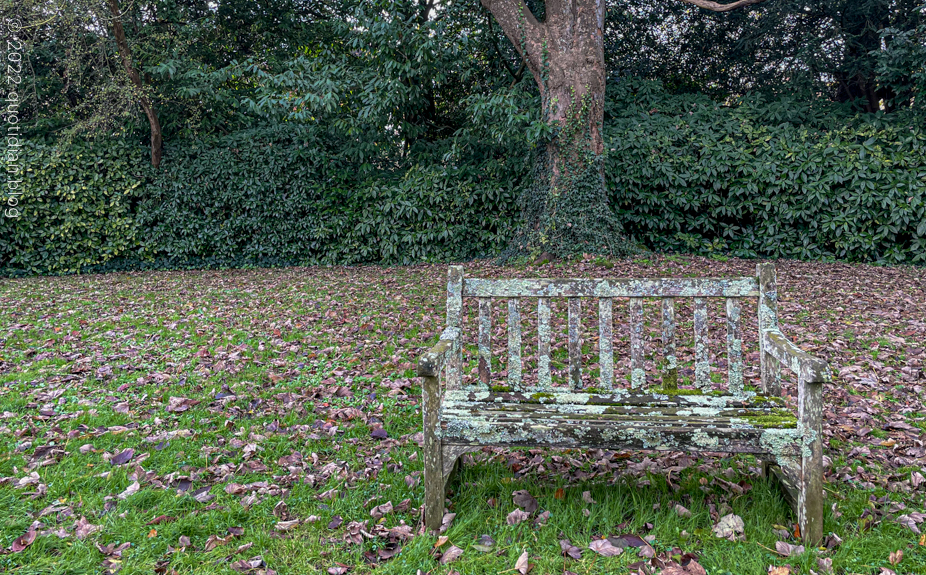 Thursday November 24th (2022) camouflage bench align=