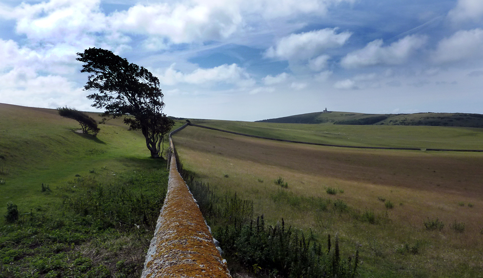 Friday June 24th (2011) belle tout align=