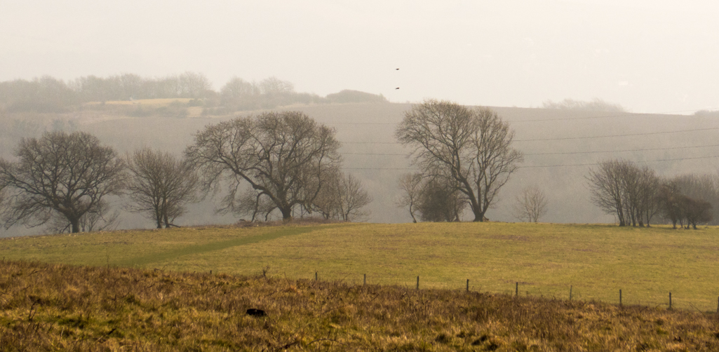 Wednesday March 18th (2015) misty walk to blackcap align=