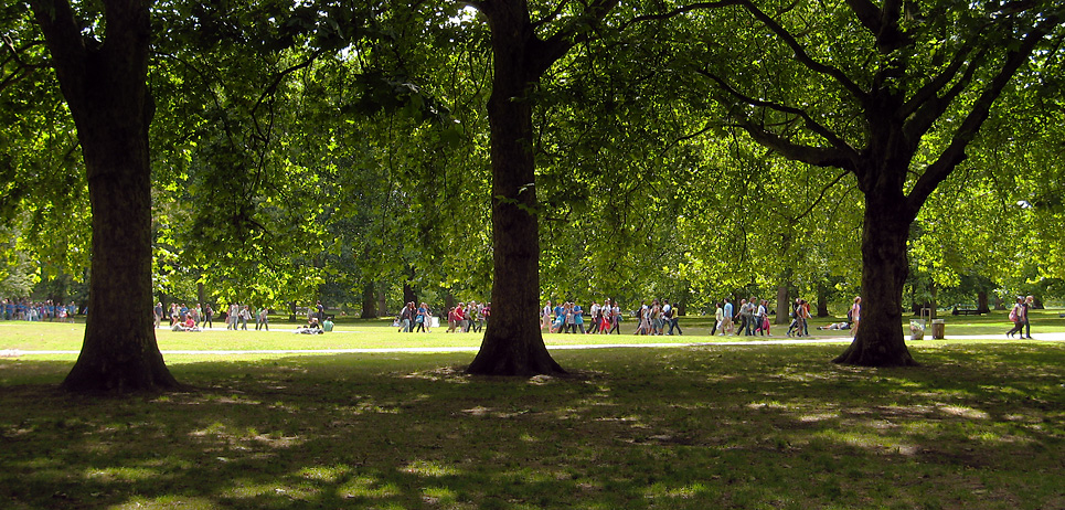 Saturday July 11th (2009) london planes align=