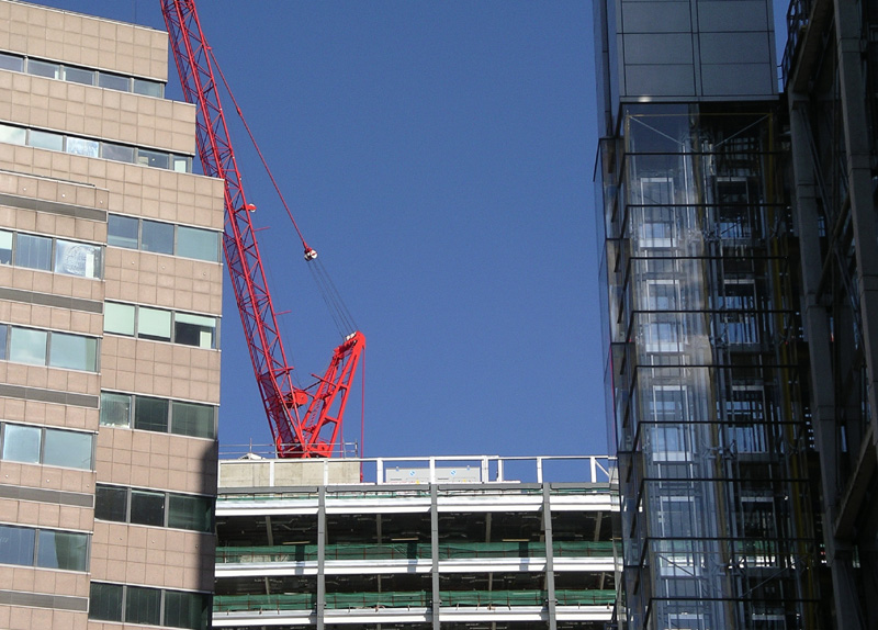 Tuesday May 23rd (2006) red crane align=