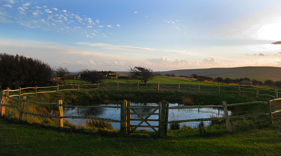 Monday December 4th (2006) dew pond align=