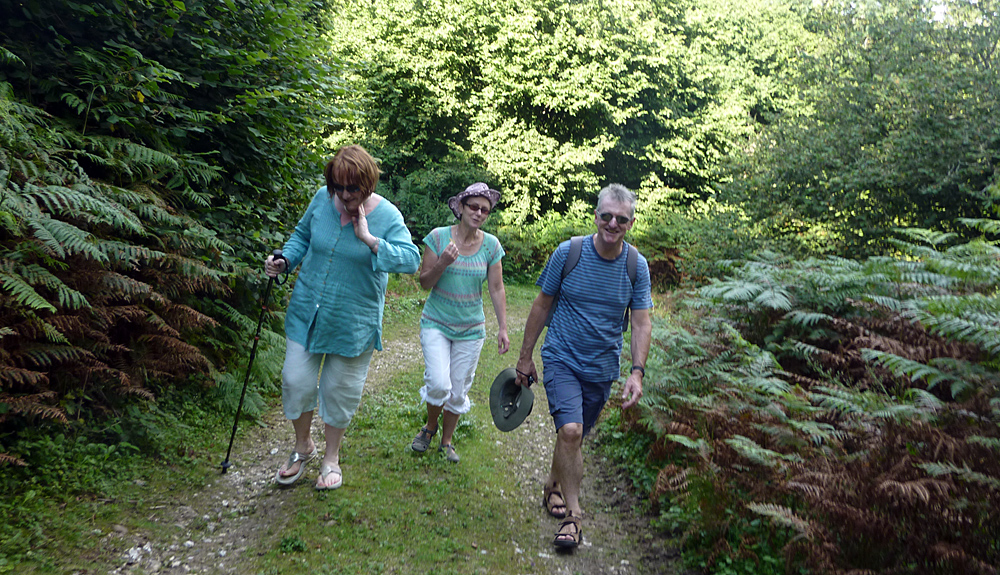 Sunday August 19th (2012) lost in ashcombe bottom align=