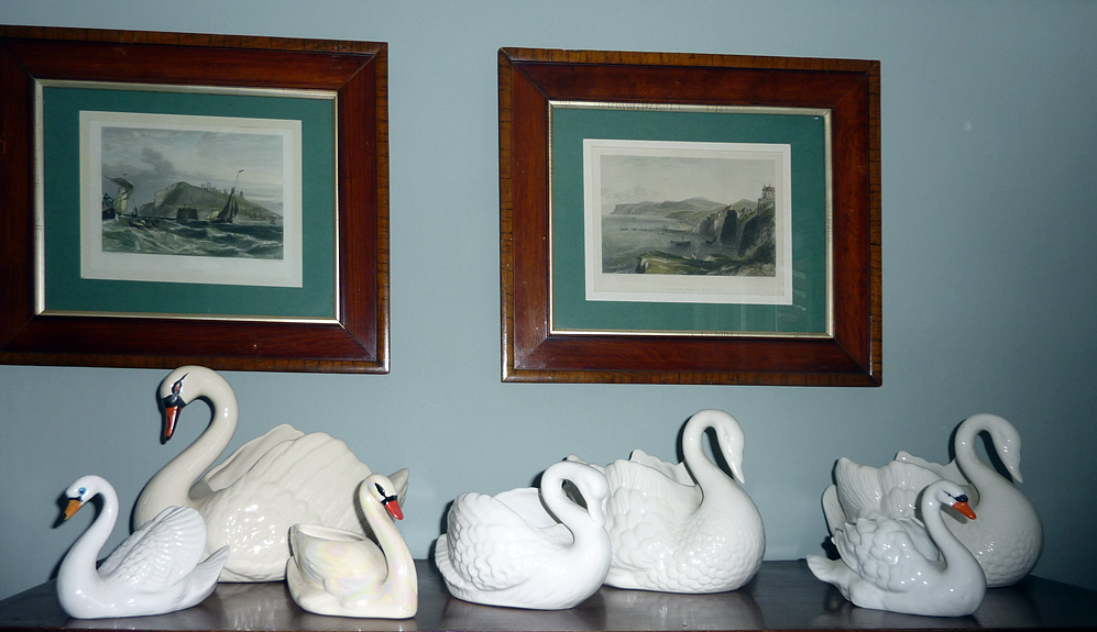 Sunday February 12th (2012) swans align=