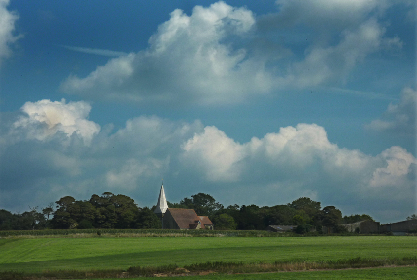 Friday August 19th (2011) pevensey levels align=