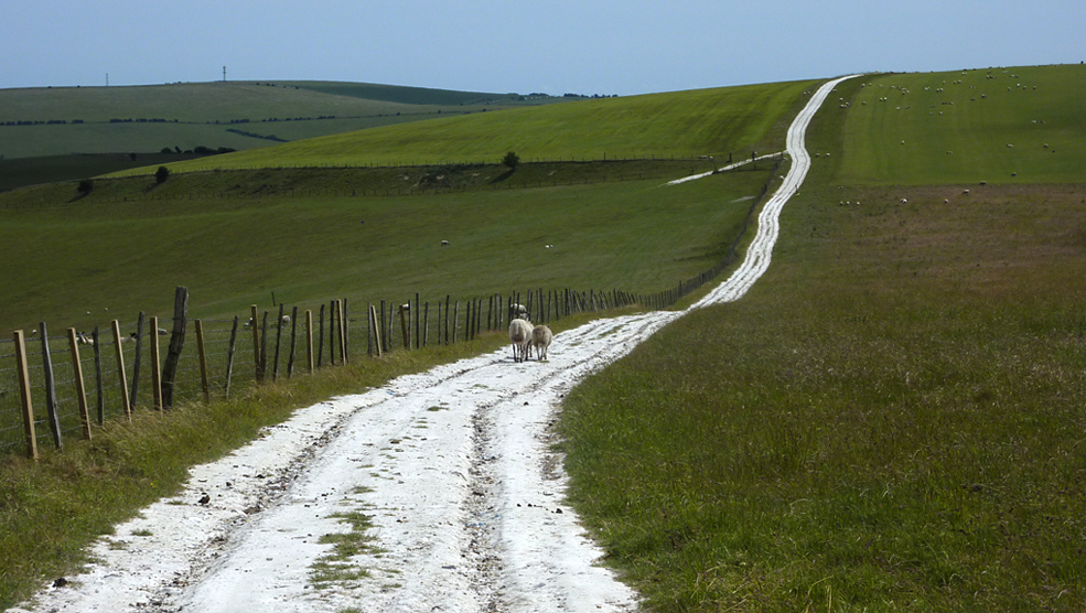 Wednesday June 15th (2011) chosen path align=