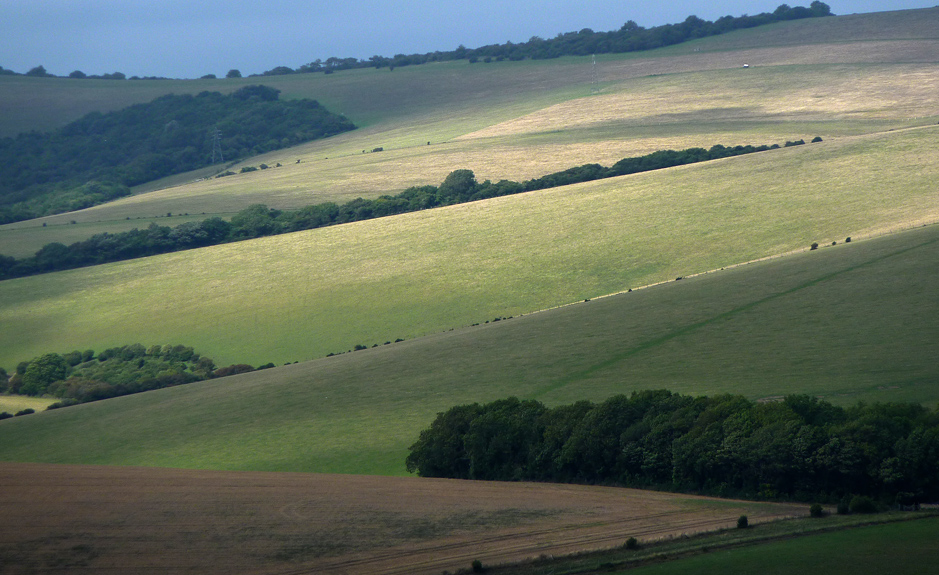Monday August 23rd (2010) downland align=