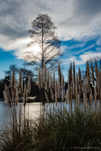 Monday February 4th (2019) frozen ponds align=