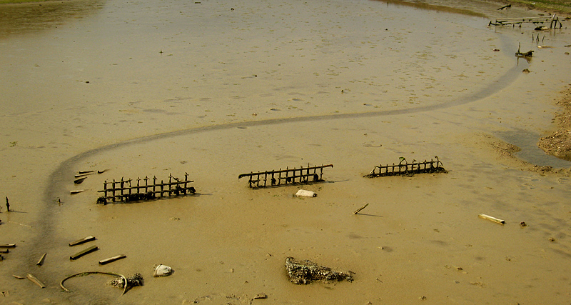 Sunday August 6th (2006) tide mills align=