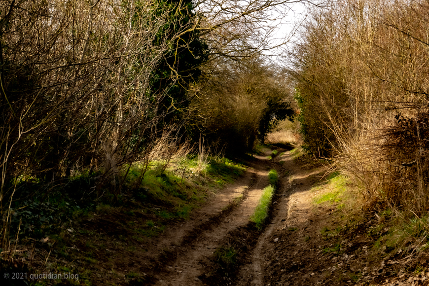 Tuesday February 23rd (2021) sunny paths align=