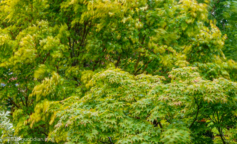 Monday May 26th (2025) wind and rain align=