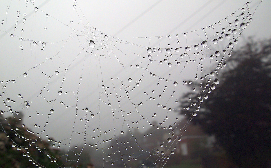 Wednesday October 15th (2014) web droplets align=