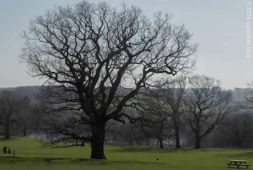 Wednesday March 18th (2026) parkland supreme align=