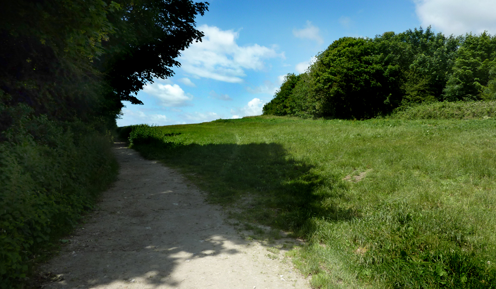 Monday July 2nd (2012) shadow across a path align=