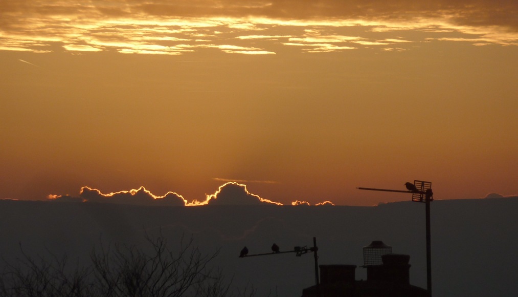 Thursday November 29th (2012) dramatic dawn align=