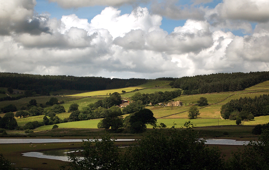 Wednesday July 9th (2014) gouthwaite reservoir align=