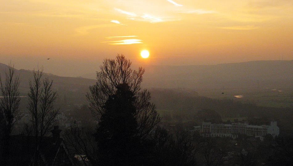 Friday January 30th (2009) early bird catches dawn align=