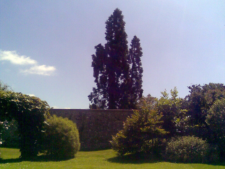 Friday June 27th (2008) the gardens of upper landport align=