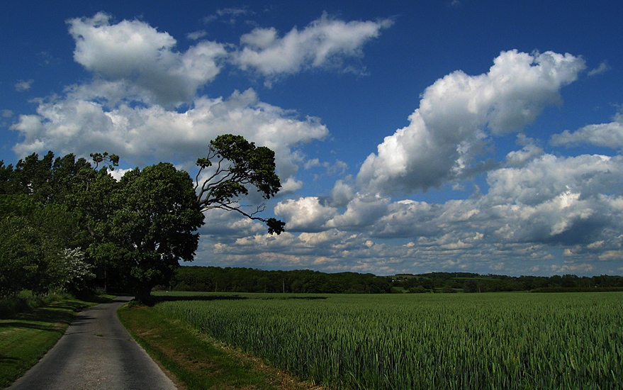 Tuesday May 29th (2007) vanishing point align=