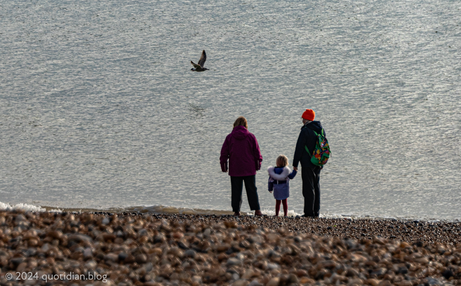 Friday December 13th (2024) seashore family align=