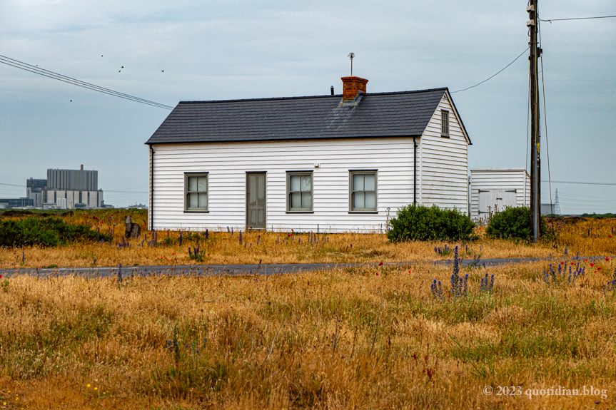 Tuesday June 20th (2023) dungeness align=