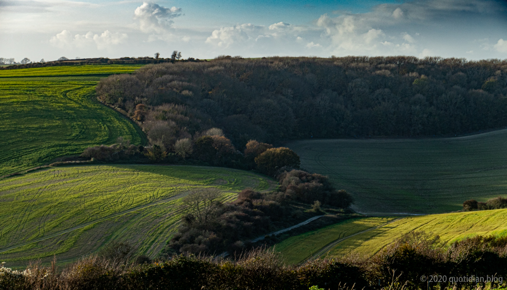 Friday November 13th (2020) more downland align=