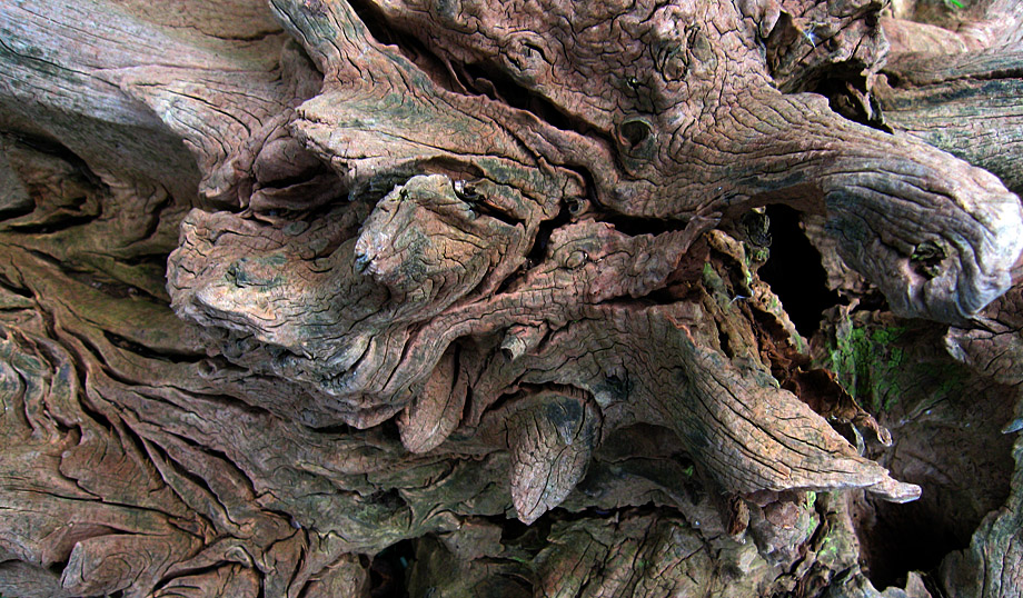 Monday April 28th (2008) scary wood align=