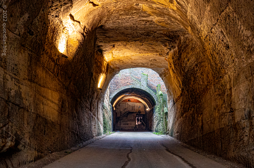 Saturday March 19th (2022) park tunnel align=