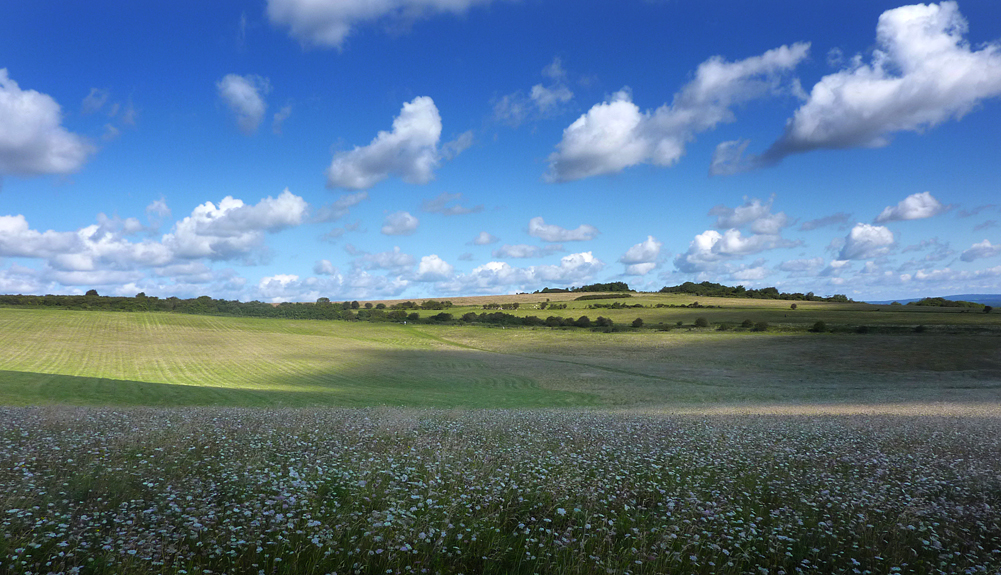 Sunday August 26th (2012) site of the battle of lewes align=