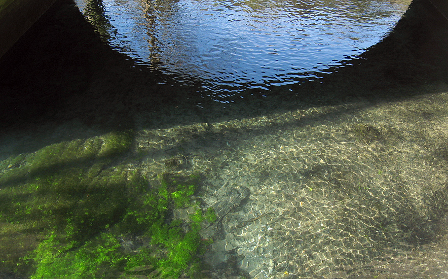 Monday March 12th (2007) clear water align=