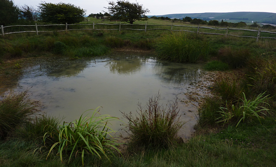 Sunday September 5th (2010) a dark pond day align=