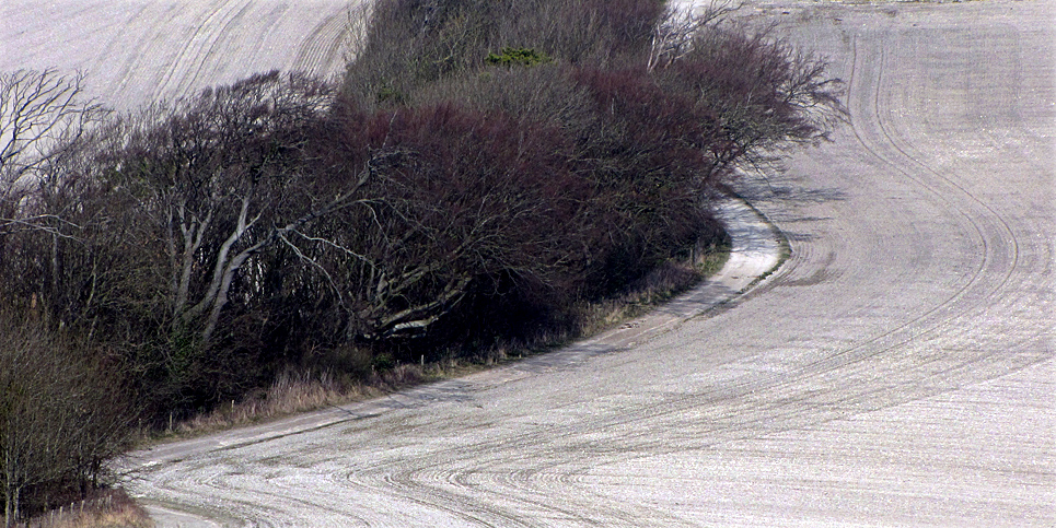 Thursday March 19th (2009) hedge and chalky soil align=