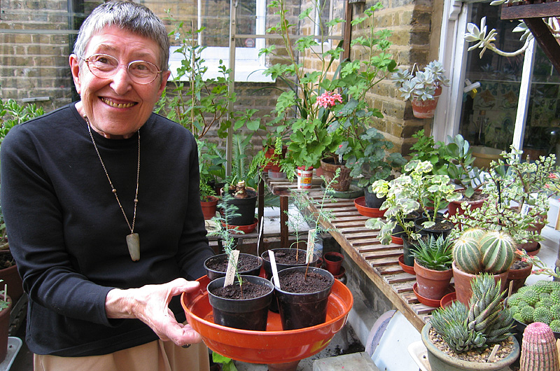 Friday August 25th (2006) mum align=