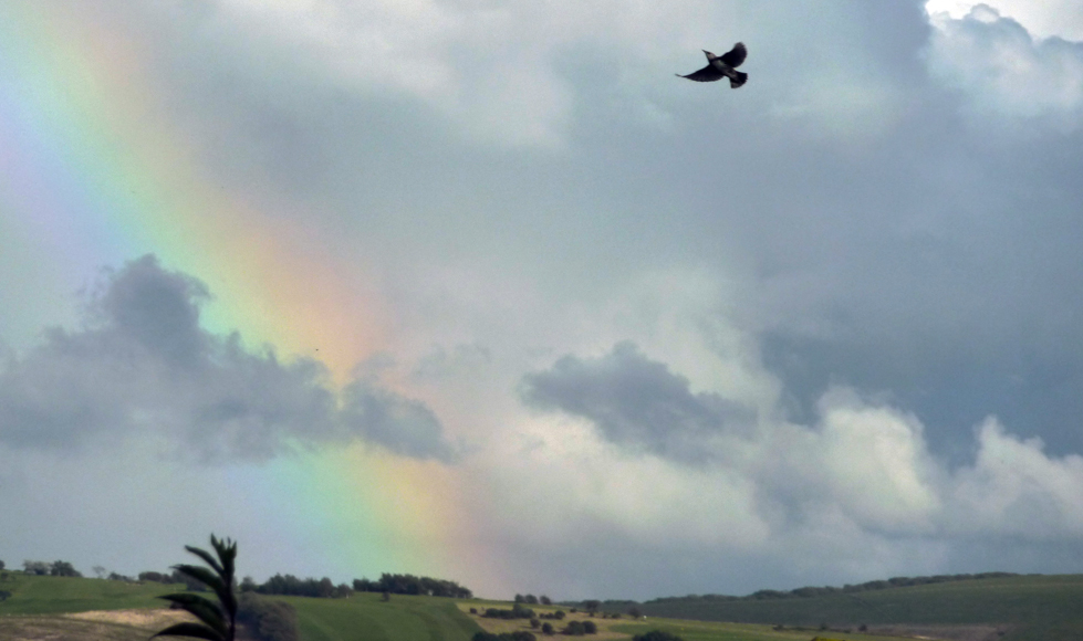 Tuesday September 25th (2012) different day different rainbow align=