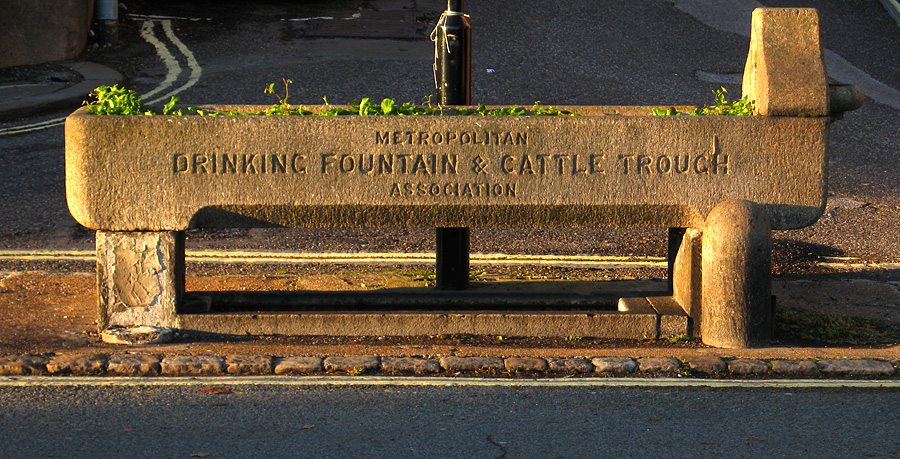 Wednesday November 22nd (2006) cattle trough align=