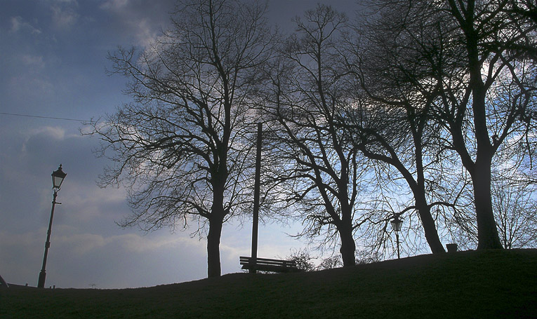 Wednesday March 15th (2006) top of the hill align=