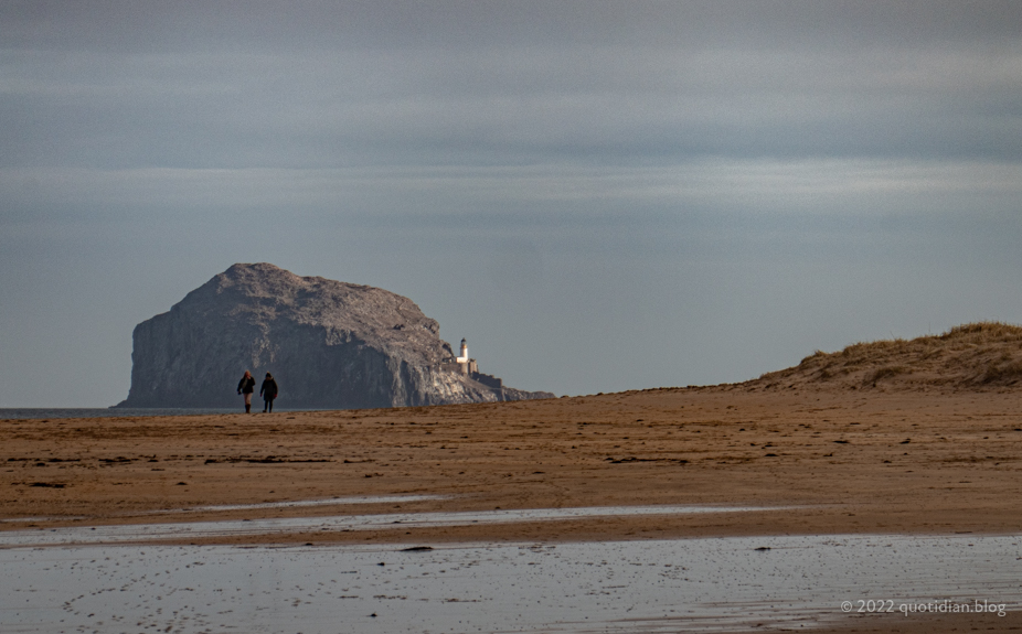 Sunday February 6th (2022) bass rock from yellowcraigs align=