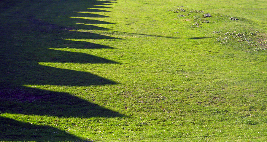 Thursday November 1st (2007) grass shadows align=