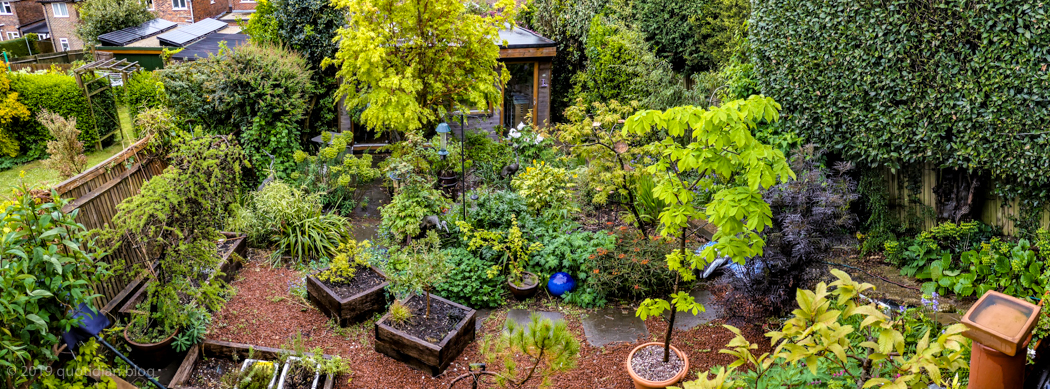 Thursday May 9th (2019) garden after rain align=