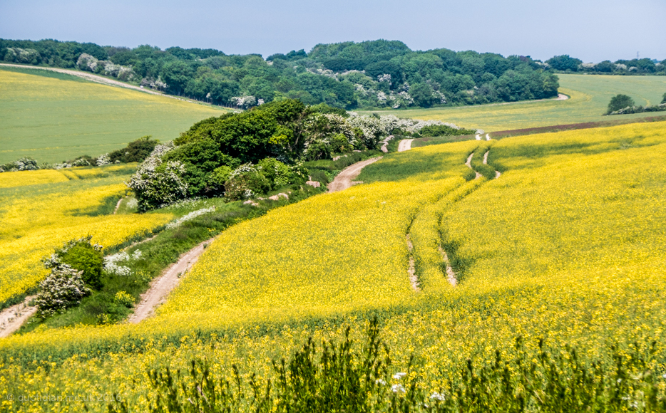 Saturday May 28th (2016) downland valley align=