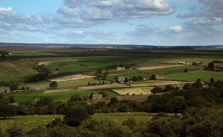 Thursday July 10th (2014) nidderdale align=