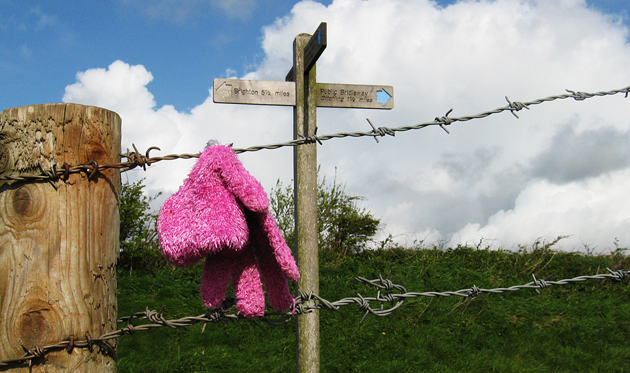 Sunday May 4th (2008) one pink glove align=