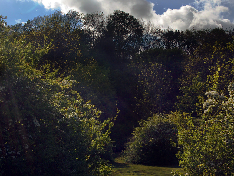 Friday May 16th (2014) treacle mine align=