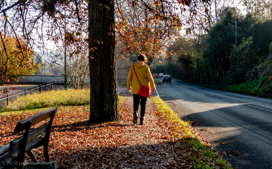 Sunday November 18th (2018) wifey walks downtown align=