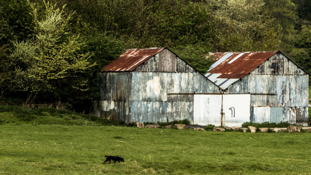 Sunday April 30th (2017) field of huts align=