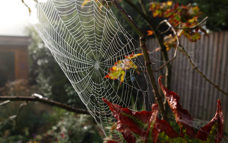 Saturday September 21st (2013) season of nets align=